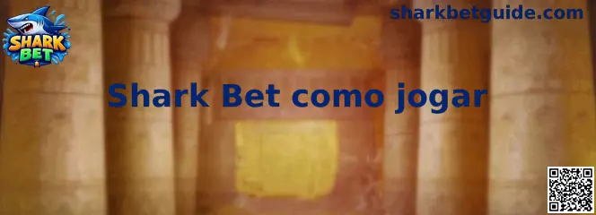 Representação visual do simulador Shark Bet como jogar