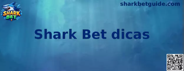 Imagem ilustrativa relacionada ao tutorial Shark Bet dicas